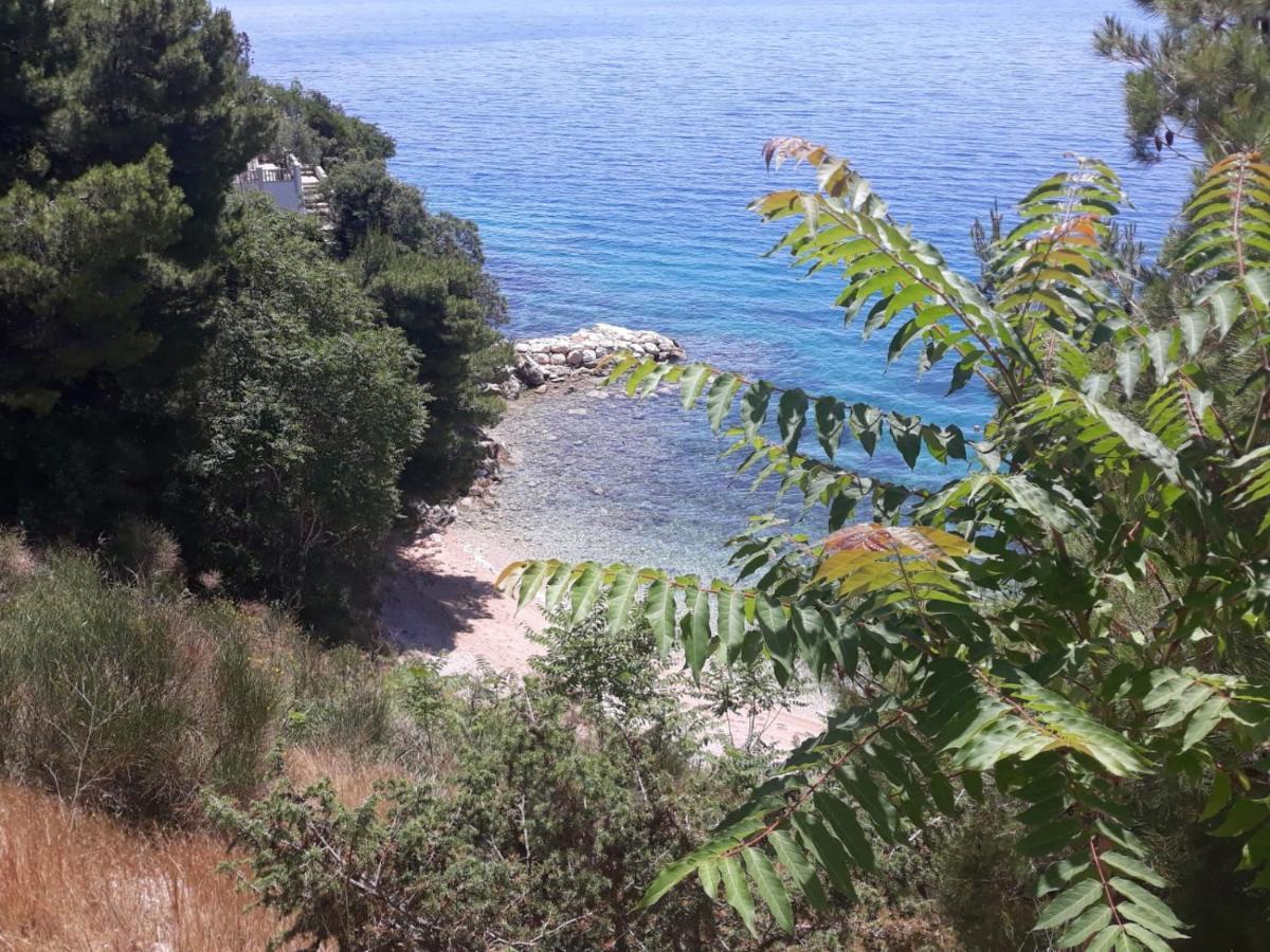 Apartman Maslina Pisak Εξωτερικό φωτογραφία