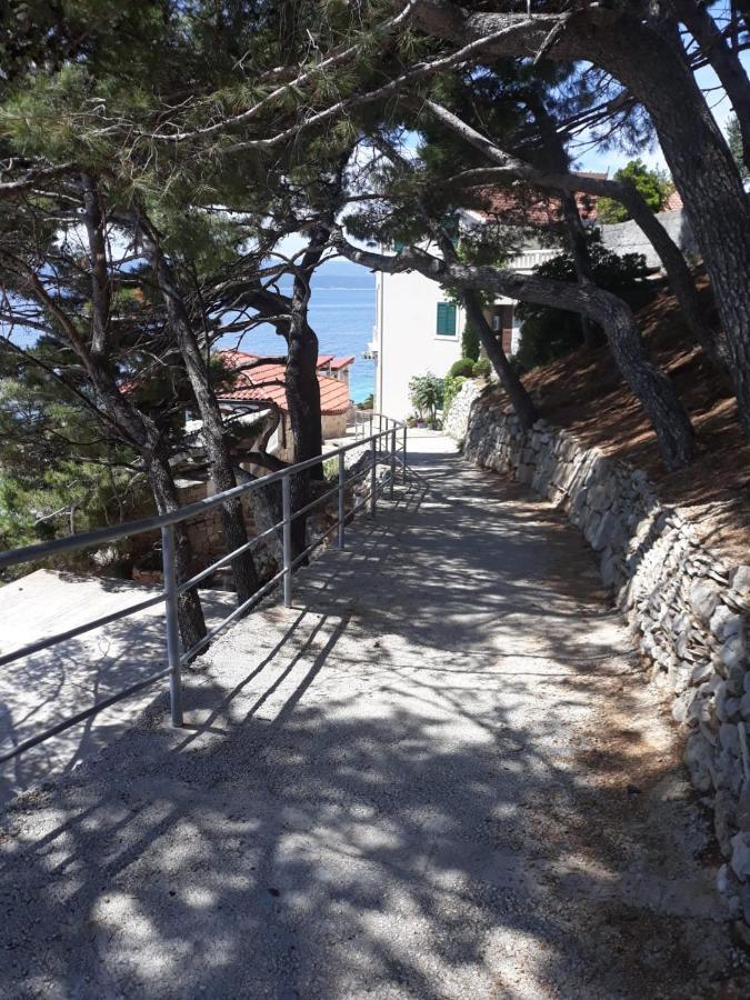 Apartman Maslina Pisak Εξωτερικό φωτογραφία