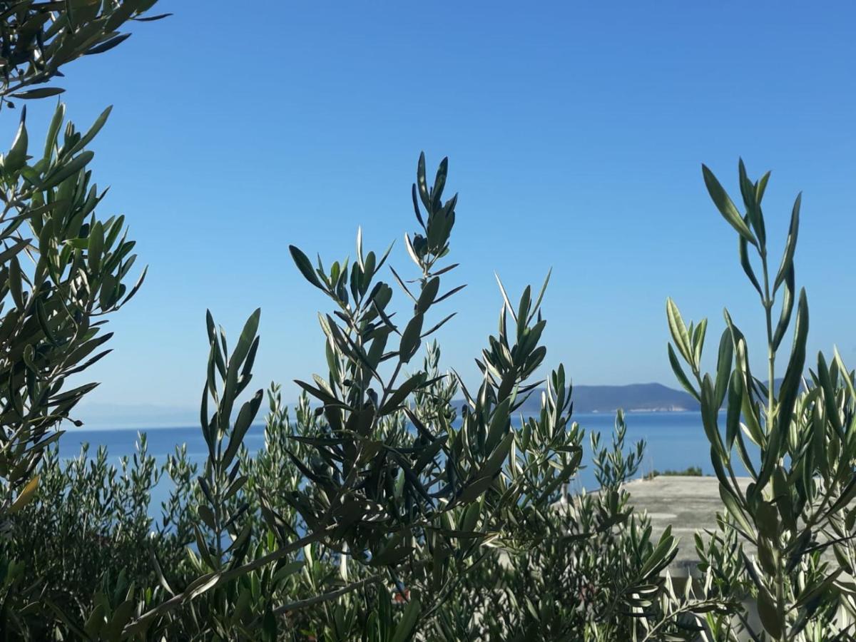 Apartman Maslina Pisak Εξωτερικό φωτογραφία